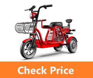 Best Electric Tricycle For Adults